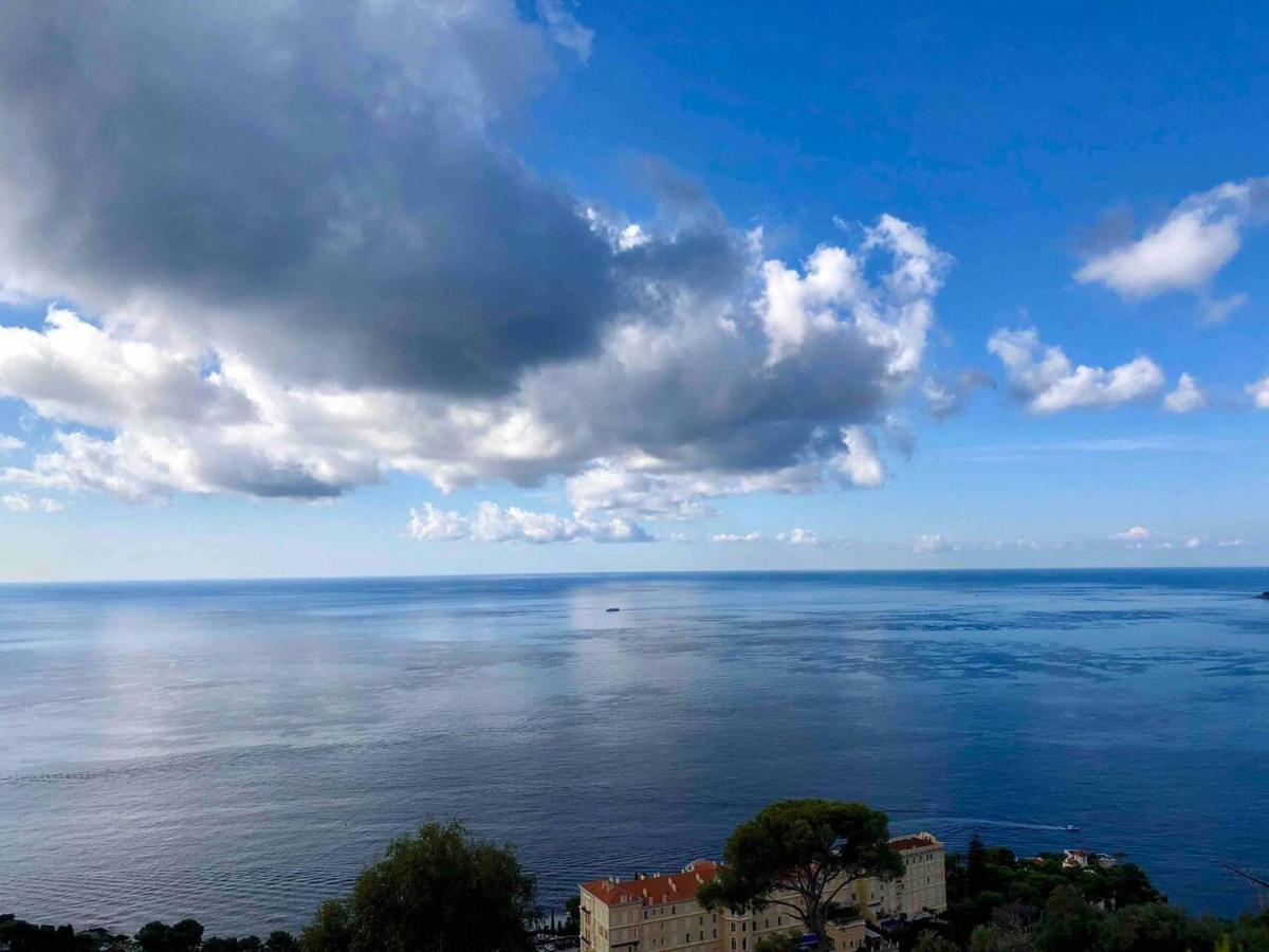 Viangella - Dramatic Sea View! Top Floor 2Km To Monaco كاب داي المظهر الخارجي الصورة