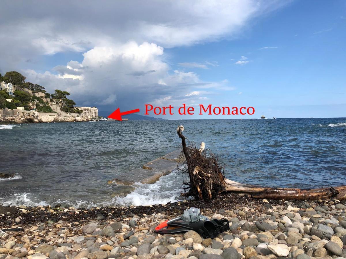 Viangella - Dramatic Sea View! Top Floor 2Km To Monaco كاب داي المظهر الخارجي الصورة